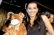 nf teddy bear